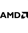 AMD Radeon Picasso