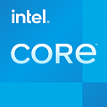  Intel Core i9-11950H